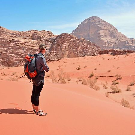 Wadi Rum Fig Tree Camp Ngoại thất bức ảnh